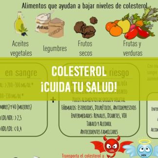 Colesterol ¡Cuida tu salud!
