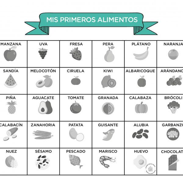 Mis primeros alimentos