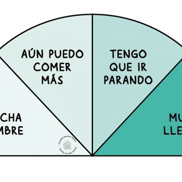 Medidor de gasolina