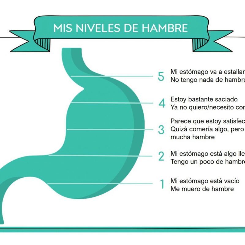 BONUS EXTRA Mis niveles de hambre