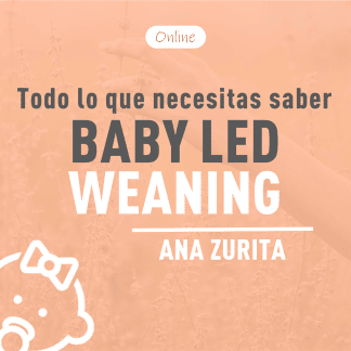 Baby Led Weaning